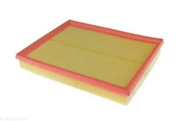 Oro filtras AUTOMEGA 180031410 kaina
