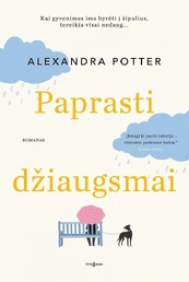 Paprasti džiaugsmai kaina