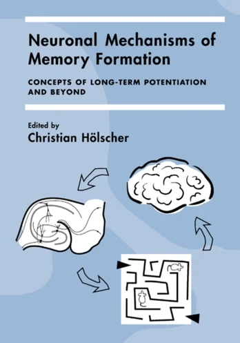 Neuronal Mechanisms of Memory Formation