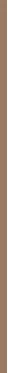 Essence Blur Nude Eyeshadow Stick 1.2 g