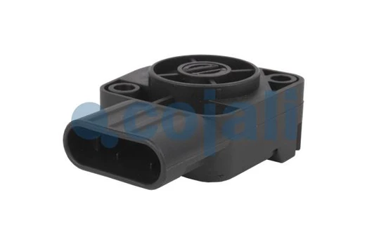 jutiklis, akceleratoriaus pedalo padėtis 2260370COJ