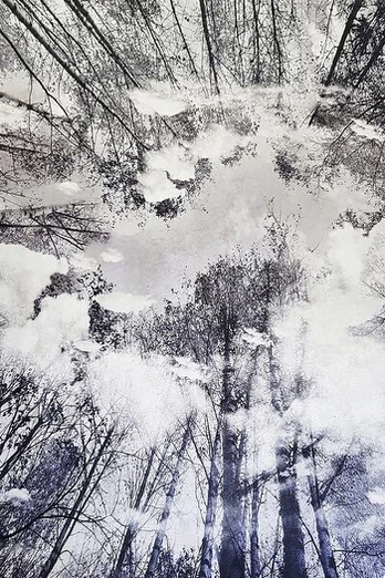 Asir kilimas Hmnt787 100x300 cm