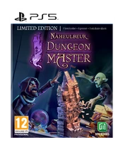 Naheulbeuk’s Dungeon Master Playstation 5 kaina