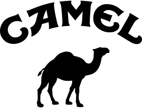 Motociklu Lipdukai camel viniliniai lipdukai – TR-1508