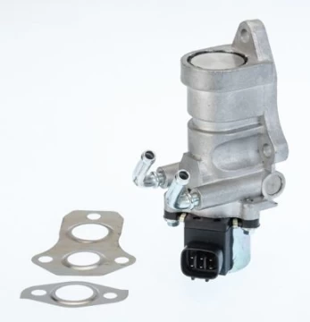 ERG vožtuvas BorgWarner (Wahler) 711030D/1