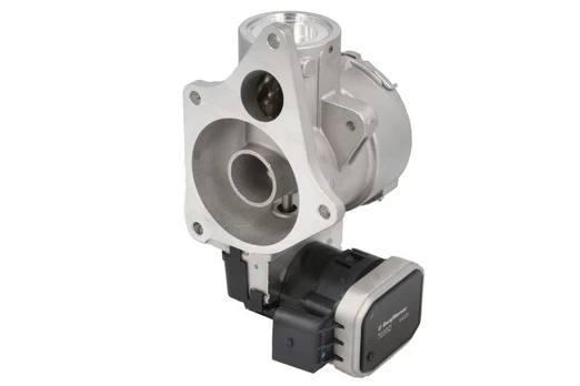 EGR vožtuvas BORG WARNER WA7256D