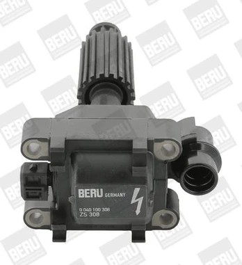 Ritė, uždegimas BorgWarner (BERU) ZS308