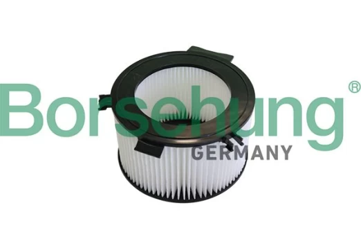 Filtras, salono oras Borsehung B10549