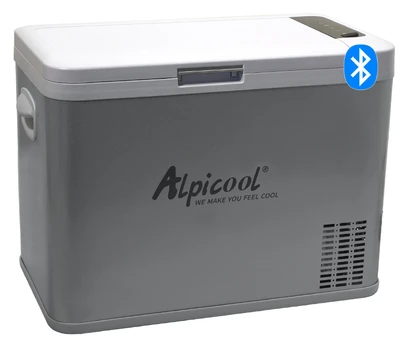 Automobilinis šaldytuvas Compass Silver Frost, 35 l, 60 W