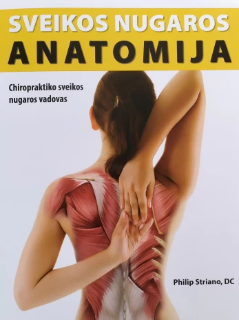 Sveikos nugaros anatomija