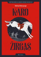 Karo žirgas (2021) kaina
