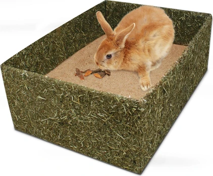 Jr Farm - JR Back to Instinct Digging Box - 29 x 40 cm