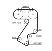 GATES GAT5404XS Timing belt kaina
