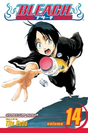 Bleach, Vol. 14 kaina