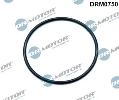 Tarpiklis, įsiurbimo kolektorius Dr.Motor Automotive DRM0750