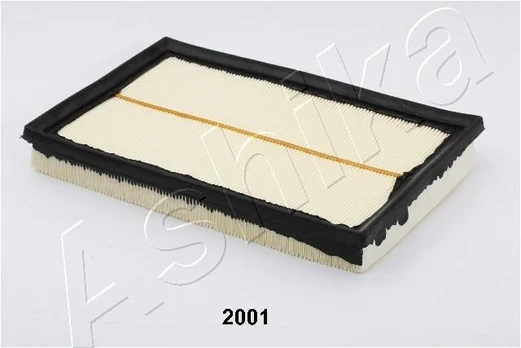 Oro filtras ASHIKA 20-02-2001