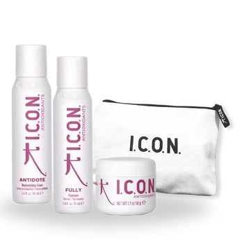 I.C.O.N. ANTIOXIDANTS maitinantis kelioninis rinkinys