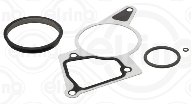 ELRING EL250870 Vacuum pump gasket set