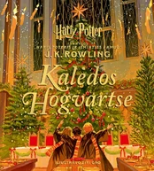 Haris Poteris. Kalėdos Hogvartse kaina