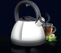 Virdulys Ambition Berry 2,6 l kaina