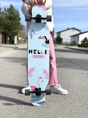 Riedlentė longboard flamingas 105 cm. kaina