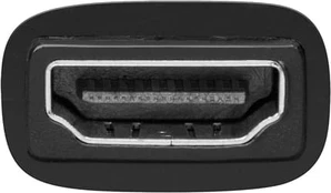 Adapteris Goobay 68482