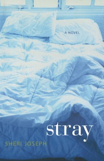 Stray 