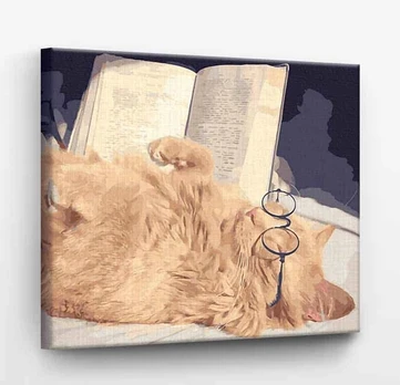 Tapybos rinkinys "Cat with a book"