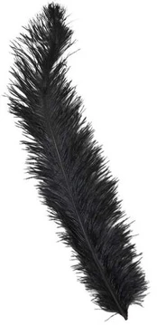 Fiesta Sorte strudsefjer 45-65 cm, 12 stk