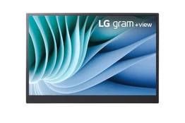 Monitorius LG 16MR70 kaina