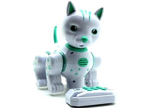 Katė Robotas su valdymo pultu 8 m.+