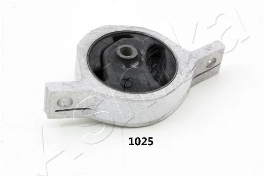 Variklio montavimas ASHIKA GOM-1025