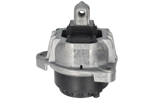 Variklio montavimas TEDGUM TED67227