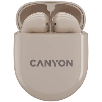 Ausinės Canyon TWS-6
