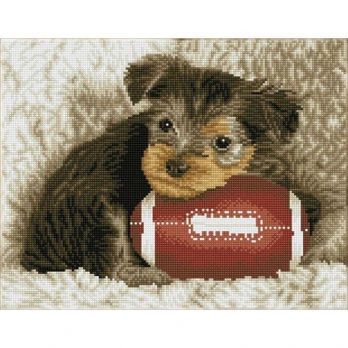 Deimantinė mozaika FOOTY PUP 32x41 cm