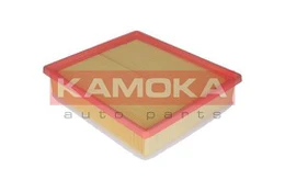 Oro filtras KAMOKA F209701 kaina