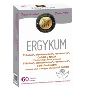 Bioserum Ergykum 60 Caps kaina