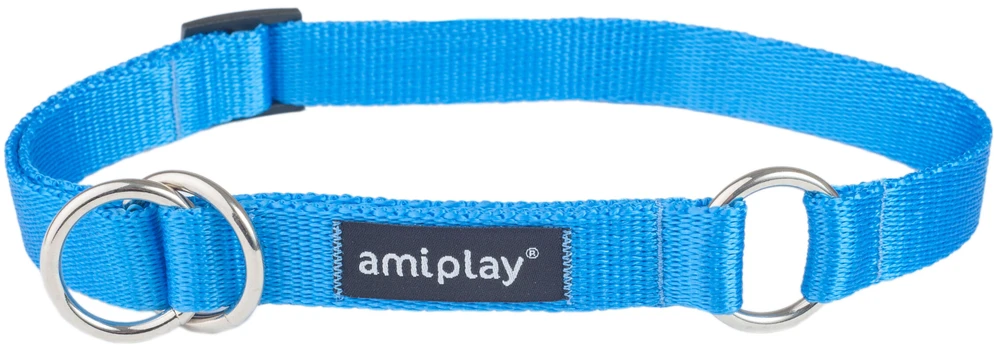 Antkaklis šunims Amiplay Basic, mėlyna, 250 - 400 mm x 15 mm, 25-40
