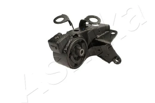 Variklio montavimas ASHIKA GOM-1225