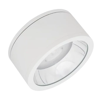 LEDVANCE DOWNLIGHT SURFACE IP65 DN 250 P 45W 840 60D WT 4058075769335