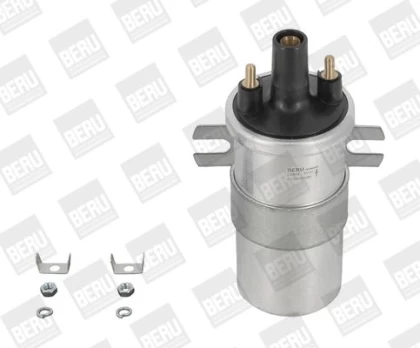 Ritė, uždegimas BorgWarner (BERU) ZS564