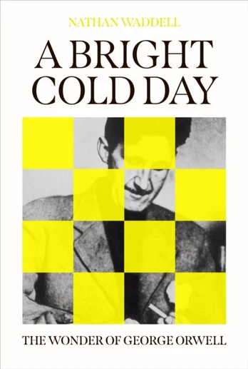 Bright Cold Day
