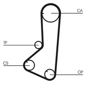 CONTI CT 839 Timing belt kaina