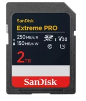 MEMORY SDXC 2TB UHS-1/SDSDXXD-2T00-GN4IN SANDISK kaina
