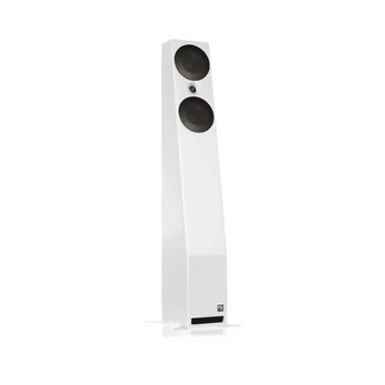 Studijinės kolonėlės PSI Audio A215-M