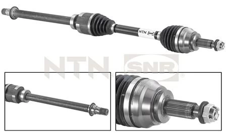 Pusašis SNR DK55.031
