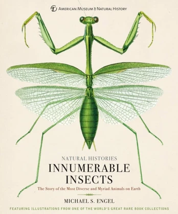 Innumerable Insects