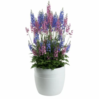 Vazonas „LUNA CLASSIC“, baltas, 32,8 cm