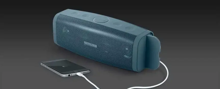 Muse M-830 DJ, 50 W, Wired & Wireless, 10 m, Micro-USB, Mono portable speaker, Grey