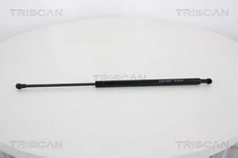 Dujinė spyruoklė, bagažinė TRISCAN 8710 28237